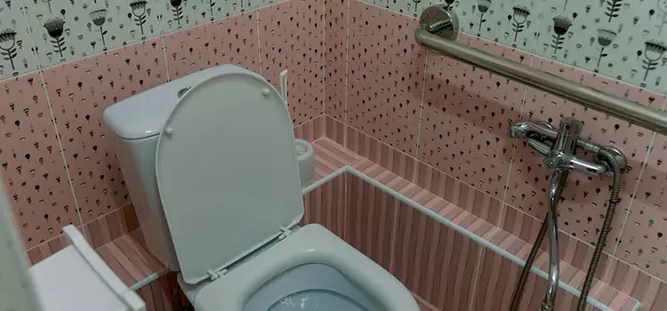 Meeting Diverse Needs With Accessible Restroom Solutions in Visalia, CA